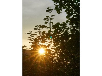 Apartment Dahoam - Outdoor photo 11