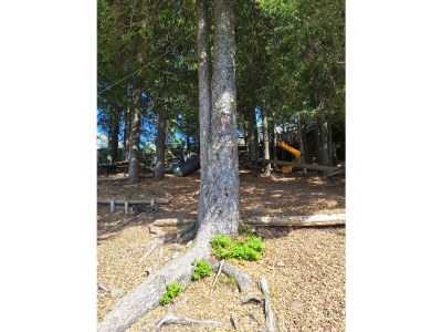 Apartment Dahoam - Environment photo 34