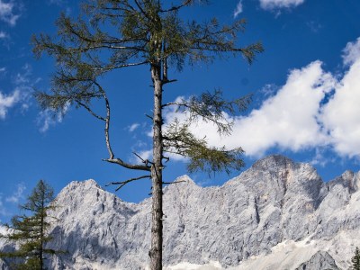 Apartment Dahoam - Environment photo 36