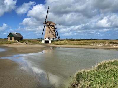 Villa Buytenplaats Texel - Environment photo 34