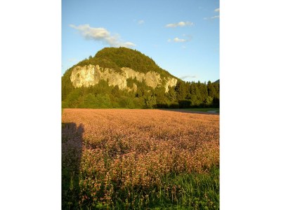 Holiday apartment Wuzella - Environment photo 32