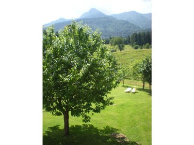 Holiday apartment Wuzella - Environment photo 39