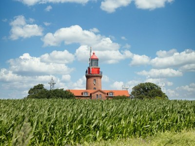 Holiday house Spacious Family Haven in Kröpelin - Environment photo 40