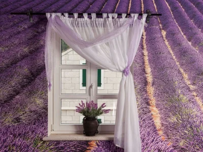 Villa Villa Petra with pool - Outdoor photo 63