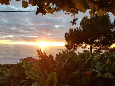 Villa No title - Environment photo 38