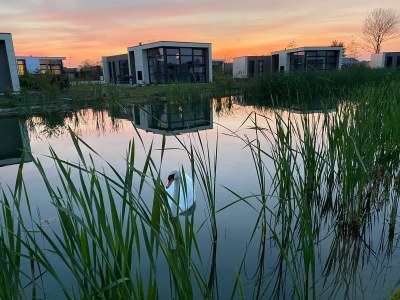 Holiday house Marina Strandbad Chalet Wasserwelt House No. 32 - Outdoor photo 6