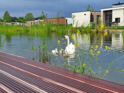 Holiday house Marina Strandbad Chalet Wasserwelt House No. 32 - Outdoor photo 7