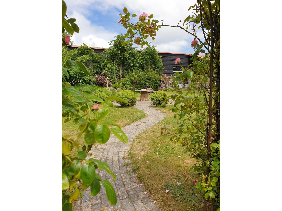 Holiday apartment De Vrijheid - Outdoor photo 4