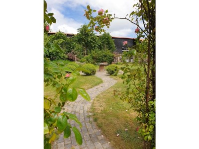 Holiday apartment De Vrijheid - Outdoor photo 4