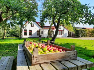 Holiday apartment De Vrijheid - Outdoor photo 5