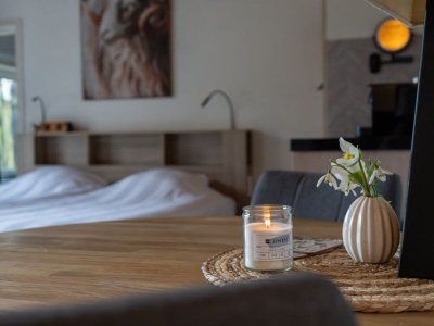 Holiday apartment De Vrijheid - Features photo 10