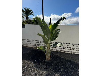 Holiday house Celta-Casa Ellen holiday home - Outdoor photo 12