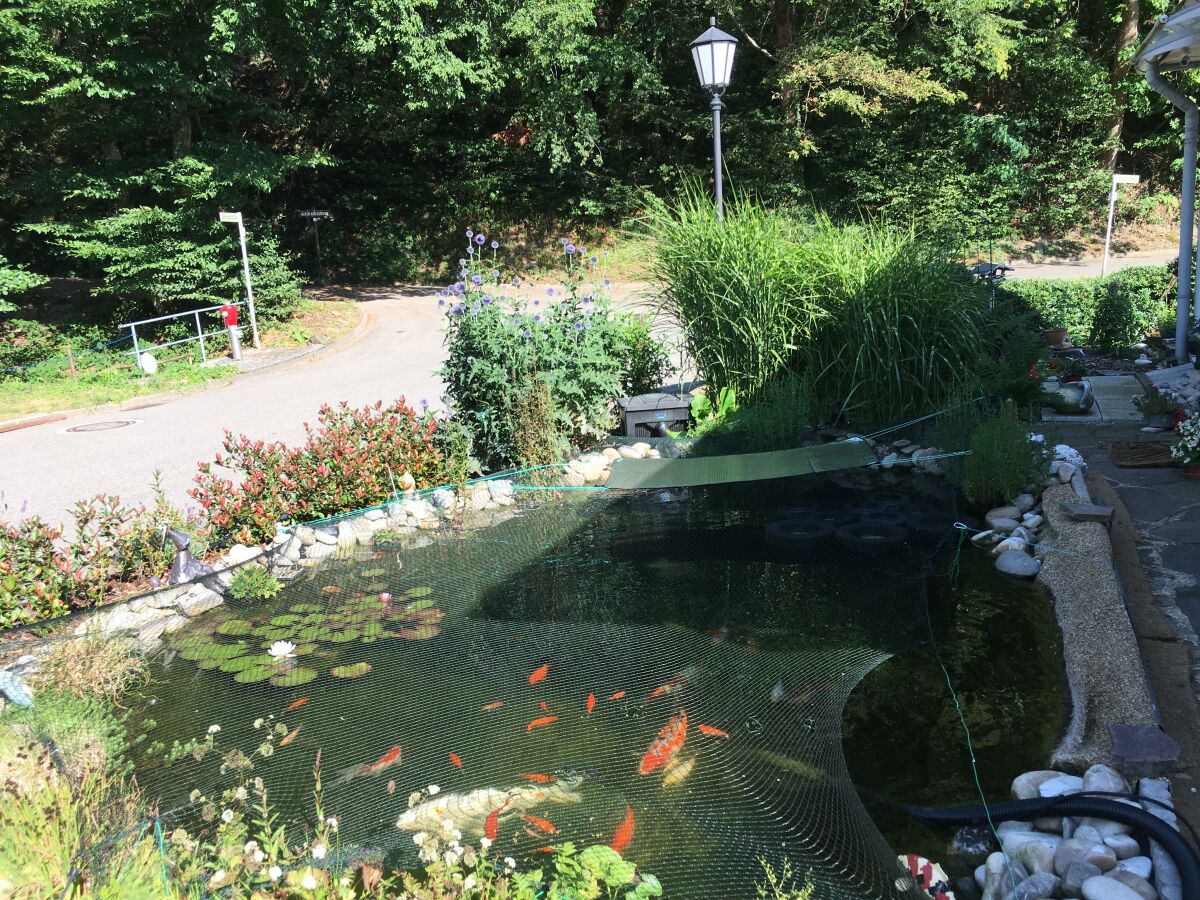 Apartment Waldrand - Outdoor photo 4