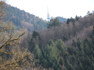 Apartment Waldrand - Environment photo 23