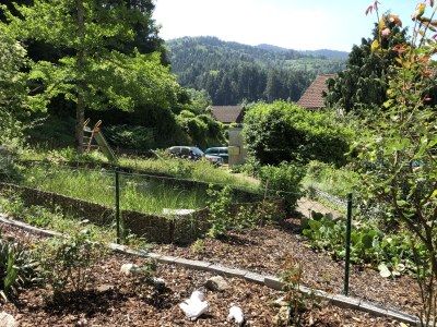 Apartment Waldrand - Environment photo 24