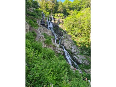 Apartment Waldrand - Environment photo 25