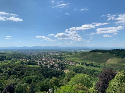 Apartment Waldrand - Environment photo 30