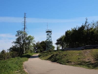 Apartment Waldrand - Environment photo 32