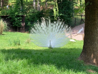 Apartment Waldrand - Environment photo 36