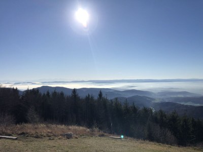 Apartment Waldrand - Environment photo 38