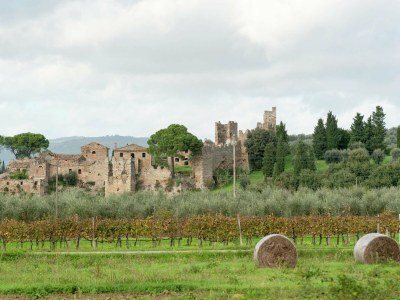 Holiday house Holiday Home in Magione near Lake Trasimeno - Outdoor photo 12