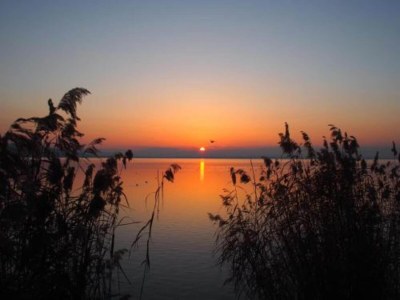 Holiday house Holiday Home in Magione near Lake Trasimeno - Environment photo 29