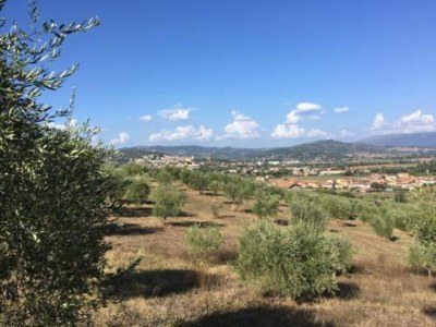 Holiday house Holiday Home in Magione near Lake Trasimeno - Environment photo 35