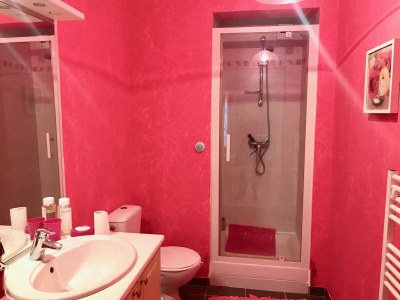 Holiday apartment Pleine Mer - Features photo 18