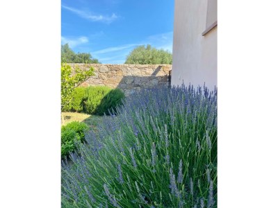 Villa Villa Casa Vignola - 3 bedrooms and large private pool - Outdoor photo 8