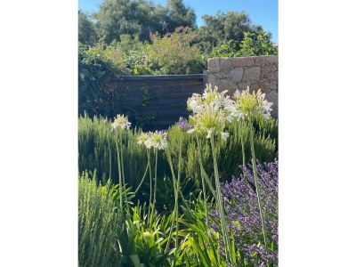 Villa Villa Casa Vignola - 3 bedrooms and large private pool - Outdoor photo 10