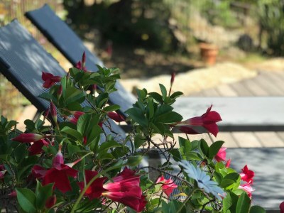 Villa Villa Casa Vignola - 3 bedrooms and large private pool - Environment photo 25