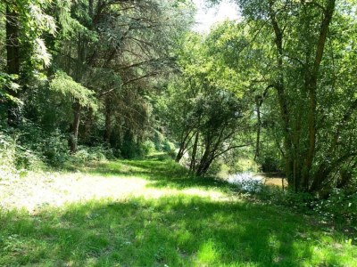 Villa Villa in Villamuriel mit Pool und Grill - Environment photo 37