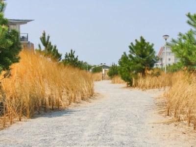 Holiday apartment Duinerei Groote Keeten B2 - Environment photo 24