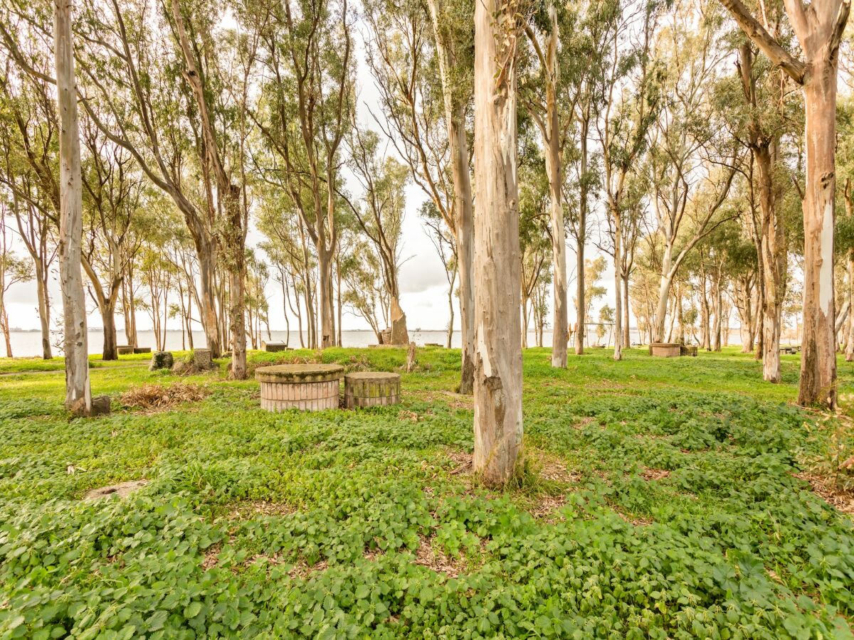 Holiday house Häuser in den Lagunen von Santa Giusta - Outdoor photo 2