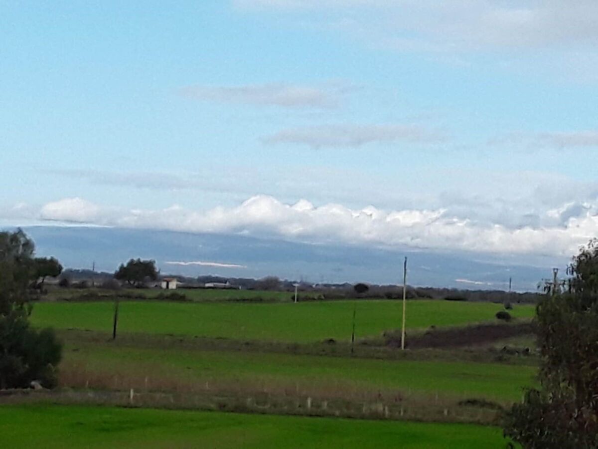 Holiday house Häuser in den Lagunen von Santa Giusta - Outdoor photo 4