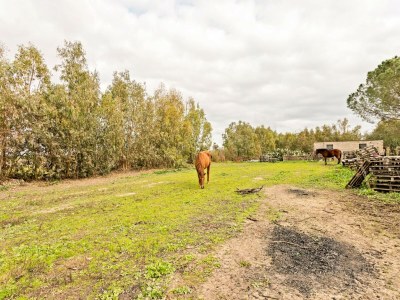 Holiday house Häuser in den Lagunen von Santa Giusta - Environment photo 28