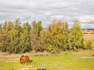 Holiday house Häuser in den Lagunen von Santa Giusta - Environment photo 31