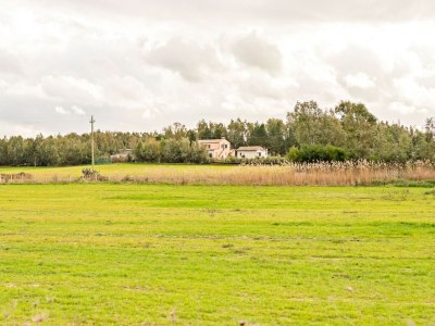 Holiday house Häuser in den Lagunen von Santa Giusta - Environment photo 32