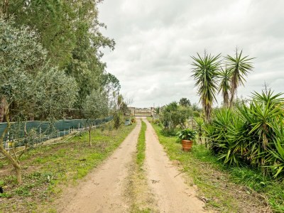 Holiday house Häuser in den Lagunen von Santa Giusta - Environment photo 34