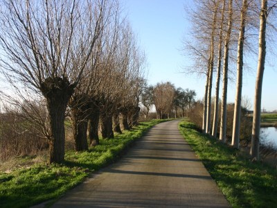 Apartment Duinhof VI-6 - Environment photo 13