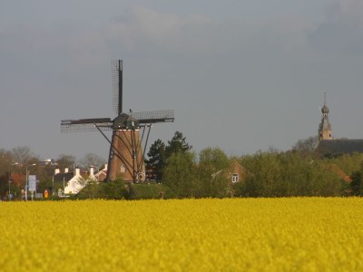 Apartment Duinhof VI-6 - Environment photo 15