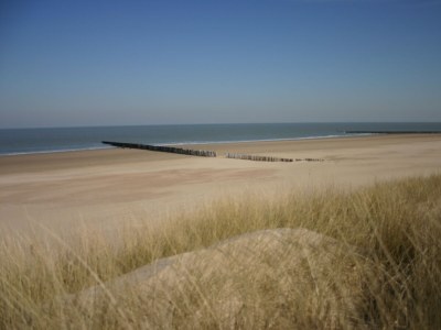 Apartment Strandresidentie A302 - Environment photo 11