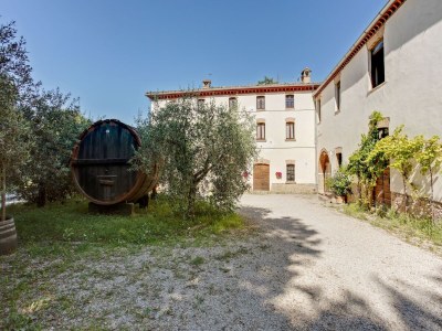 Cottage Relax & Unwind in Umbria - Outdoor photo 9