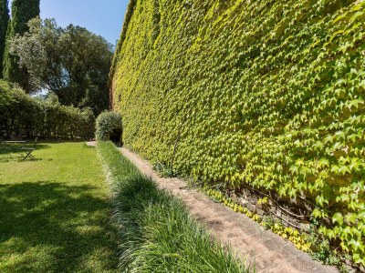Cottage Relax & Unwind in Umbria - Outdoor photo 15