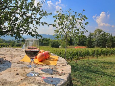 Cottage Relax & Unwind in Umbria - Outdoor photo 39
