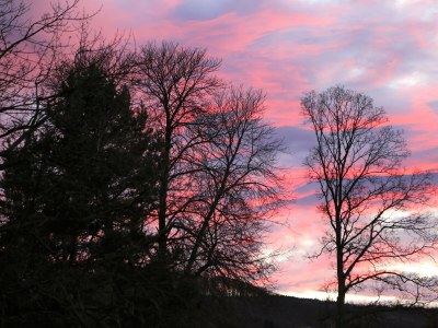 Holiday apartment Altes Logierhaus - Outdoor photo 6