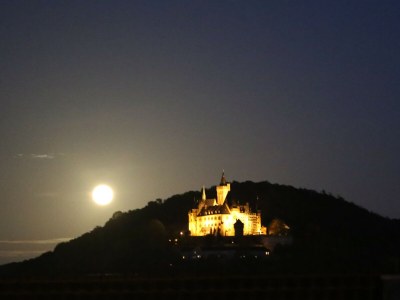 Holiday apartment Altes Logierhaus - Outdoor photo 8