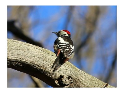 Holiday apartment Altes Logierhaus - Outdoor photo 13