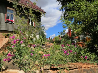 Holiday apartment Altes Logierhaus - Outdoor photo 16