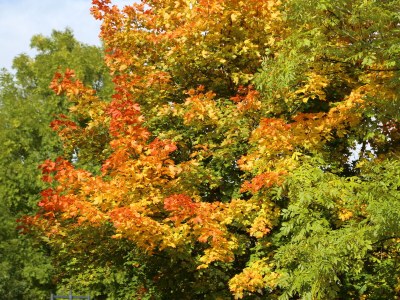 Holiday apartment Altes Logierhaus - Environment photo 32